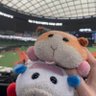 たまさん(さくれん)🦁🐮🐶 profil fotoğrafı