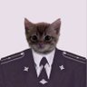 Profilbild von младший лейтенант Капуска