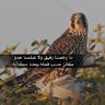Фото профиля مالك العنزي 🌹🌹