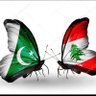 Profilbild von Ali🇵🇸🇱🇧🇵🇰