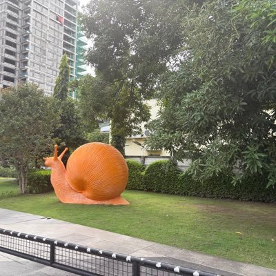 BGB2027's profile picture
