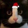 Profilbild von 武安君ss