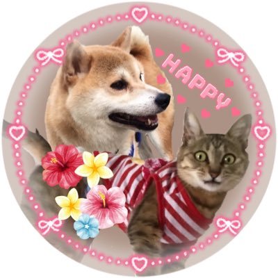 yumimama3494's profile picture