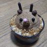 Фото профиля 八戸のふしっちさんことラムちゃん大好き💕さん(藤田新通称アナウンス部長)