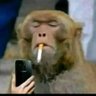 Фото профиля Monkey money