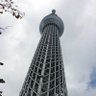 なすび profil fotoğrafı
