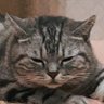 Lamant's profile picture