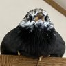 Фото профиля バス運、ケンちゃん