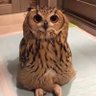 Profilbild von 加密小猫 (✱,✱)丨Crypto