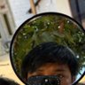 rossadyg🇮🇩's profile picture
