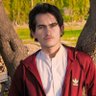 Profilbild von Saad Ali
