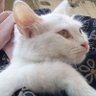 N? 的头像