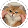oneneung's profile picture