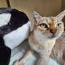 μ profil fotoğrafı