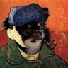 Фото профиля うちの犬ちゃん(ちわわ)