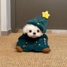 Candy's profile picture