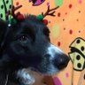 sara's profile picture