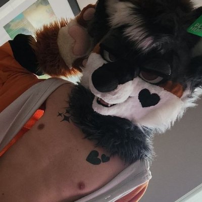 TailLicker's profile picture