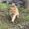 Фото профиля BERKEv