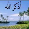بومحمد's profile picture
