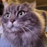 Profilbild von Erika H