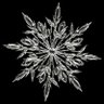 🟥❄𝓜𝓐𝓢𝓐𝓨𝓤𝓚𝓘⛄️⬛️ profil fotoğrafı