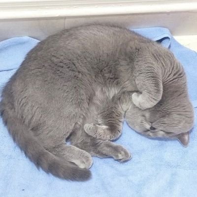 Vaal_nt19's profile picture