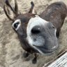 Profilbild von jsfeltner
