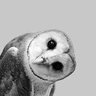 Gibbson's profile picture