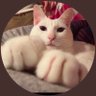しんさん's profile picture