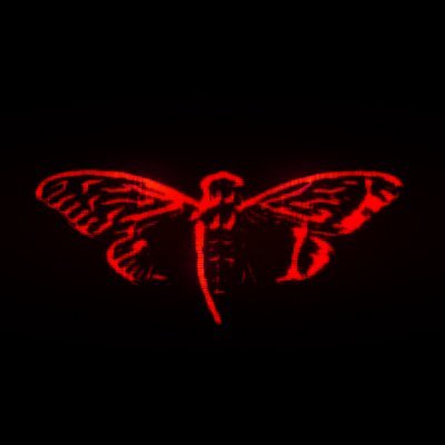 cicada's profile picture