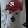 AggieSoup 的头像