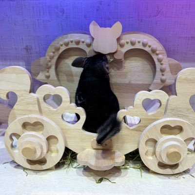 jp_lovey's profile picture