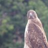 look2651's profile picture