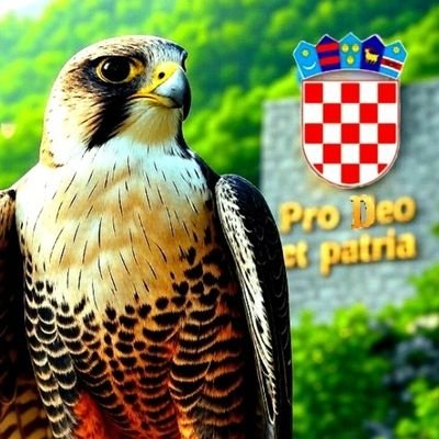 𓅃 Hrvatski Sokol 𓅃's profile picture
