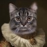 will's profile picture