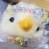おめメガぶたちゃん(代理ヒヨコ🐥) 的头像