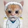 NPC_Gamer's profile picture