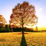 Фото профиля David Wills