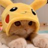いーさま@オーナー profil fotoğrafı