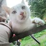 unicorn's profile picture