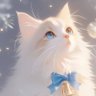 🎀ココにゃん🐈️ profil fotoğrafı