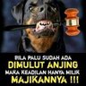 bagus sgr profil fotoğrafı