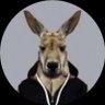Kanga 🇦🇺🦘 的头像