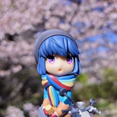 SY3920's profile picture