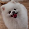 ハマちゃん's profile picture