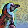 Cobblr profil fotoğrafı