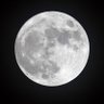 mooncryptonite's profile picture