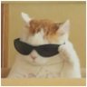 lol's profile picture