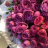 ﮼شذى،الورد profil fotoğrafı